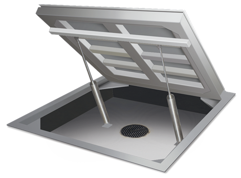 Rice Lake AutoLift HE Hostile Environment Floor Scale